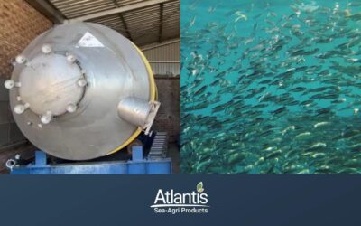 Liquid Fish Fertiliser: A Game-Changer for Abundant & Sustainable Agriculture